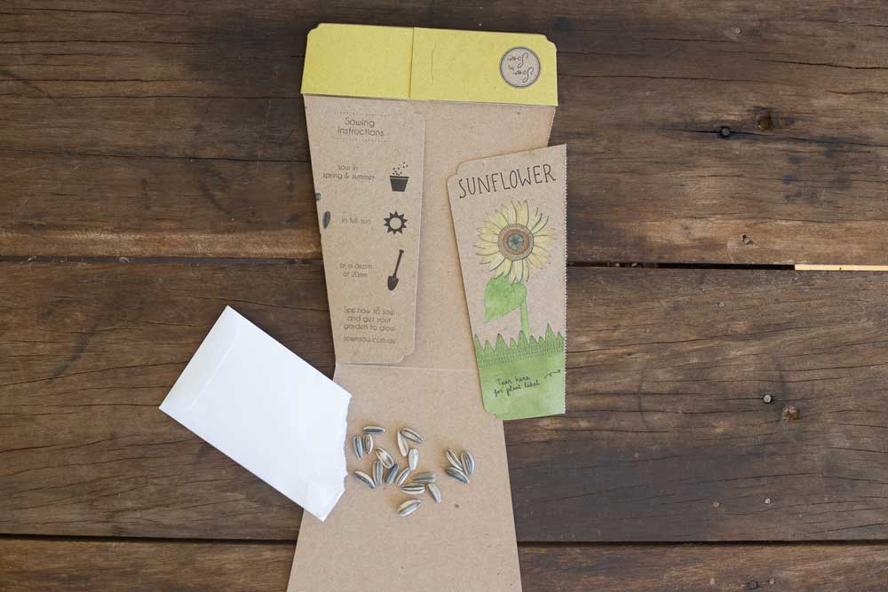 Sunflower Gift of Seeds