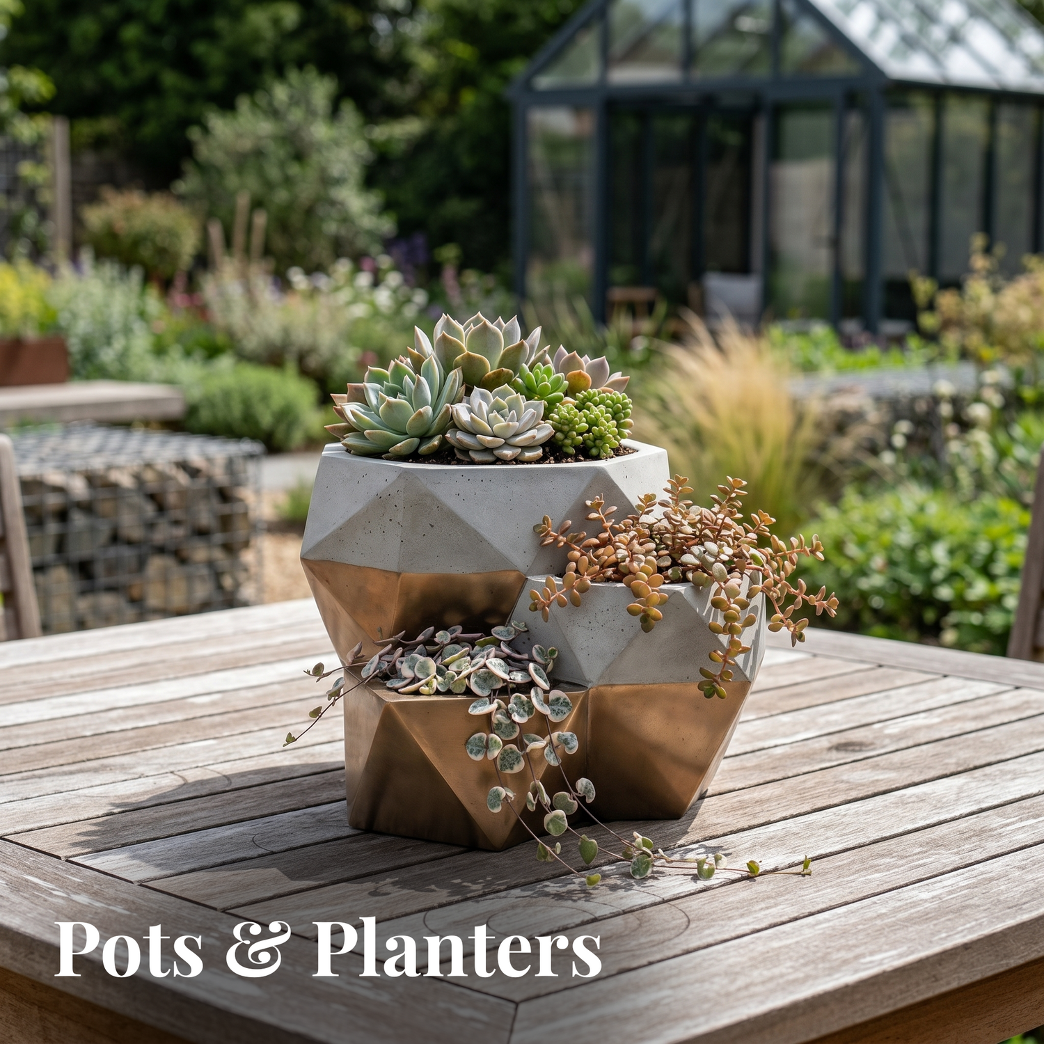 Pots & Planters