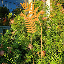 Garden Stakes &amp; Stands