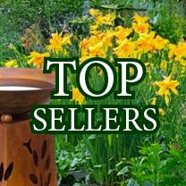 Top Sellers