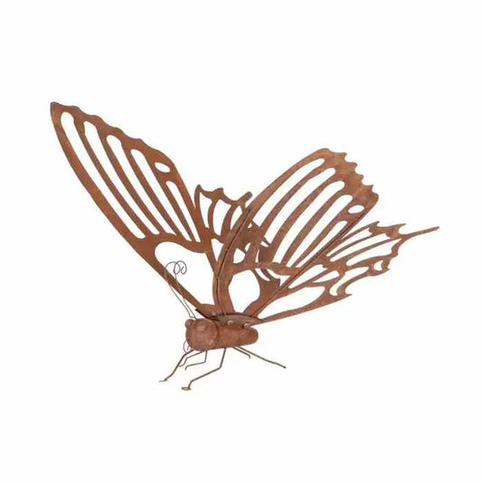 Large Rusty Butterfly