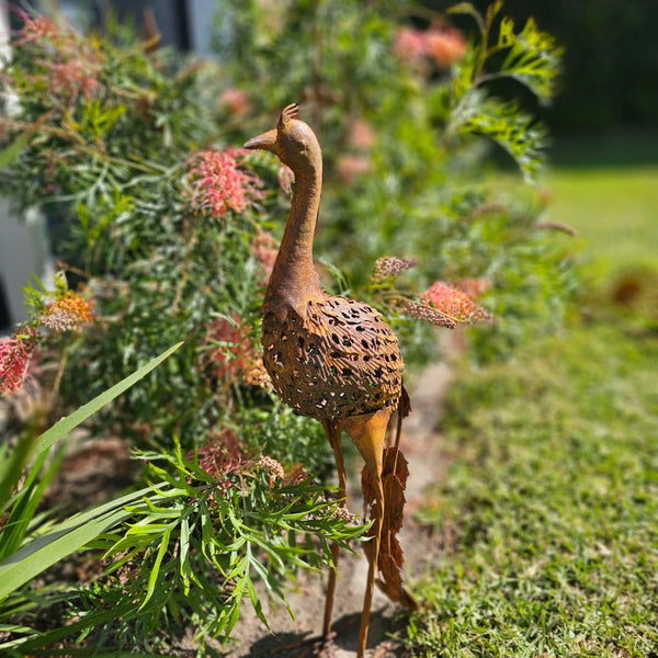 Standing Rusty Peacock