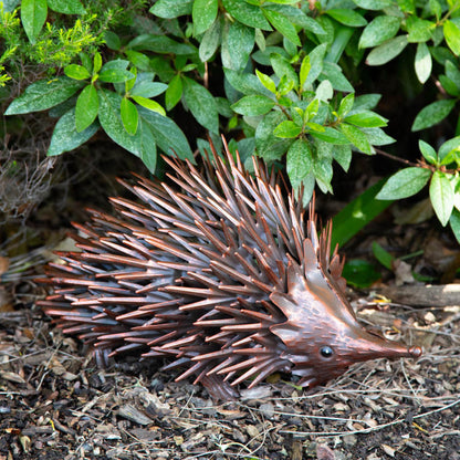 Echidna Metal Sculpture
