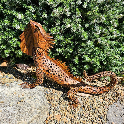 Australian Bearded Dragon
