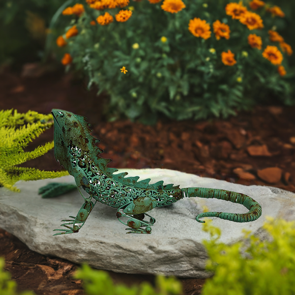 Australian Bearded Dragon